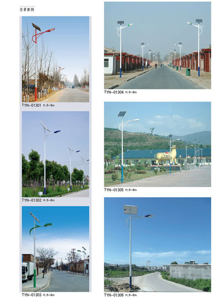 13-qing_副本.jpg