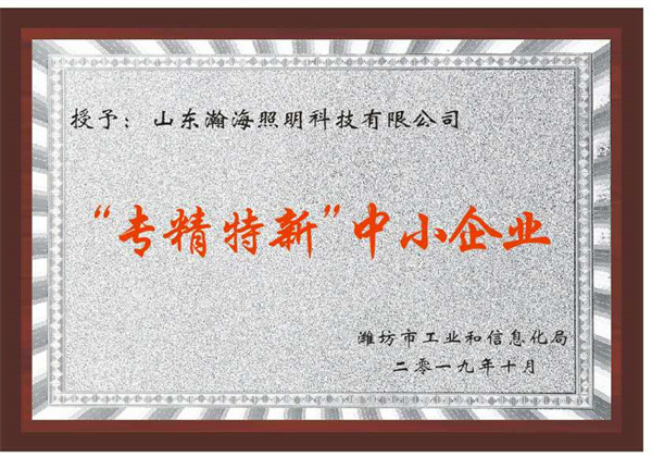 “专精特新”中小企业